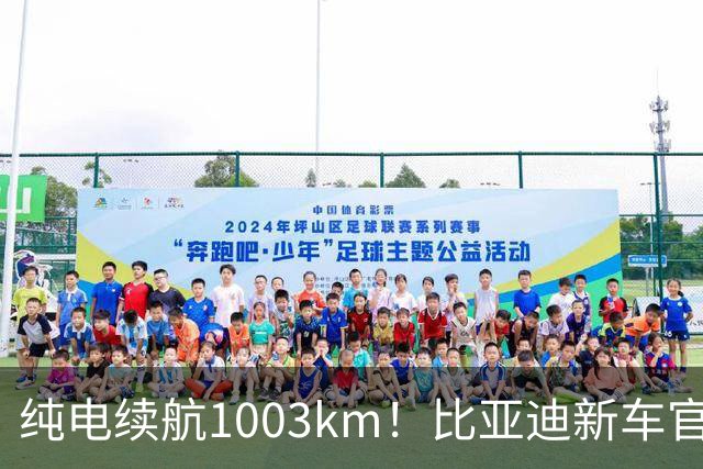 纯电续航1003km！比亚迪新车官宣，10月26日开启小订